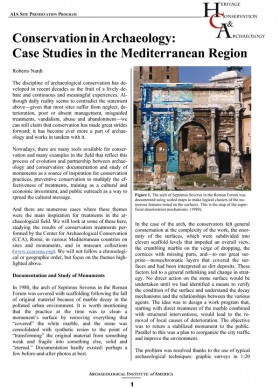 Conservation in archaeology: case studies in the Mediterranean region ...
